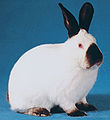 Thumbnail for version as of 19:42, 30 September 2012
