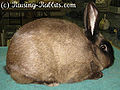 Thumbnail for version as of 19:13, 30 September 2012