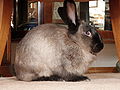 Thumbnail for version as of 01:55, 1 October 2012