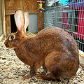 Thumbnail for version as of 13:55, 29 June 2013