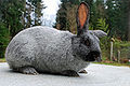 Thumbnail for version as of 13:10, 29 June 2013