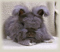 Thumbnail for version as of 19:28, 1 October 2012