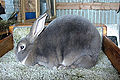 Thumbnail for version as of 13:42, 29 June 2013