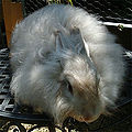 Thumbnail for version as of 19:36, 1 October 2012