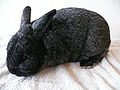 Thumbnail for version as of 23:28, 30 September 2012