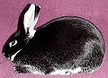 Thumbnail for version as of 02:27, 1 October 2012