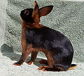 Thumbnail for version as of 13:50, 29 June 2013