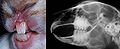 Thumbnail for version as of 10:49, 12 August 2013