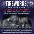 Thumbnail for version as of 23:22, 2 July 2021