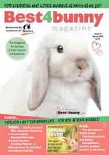 Best4BunnyIssue13.jpg
