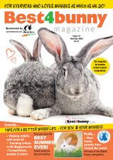 Best4BunnyIssue14.jpg