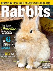 RabbitsUSA2016.jpg