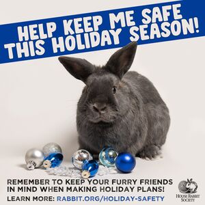 HRS-KeepMeSafeHoliday1.jpg