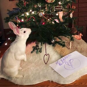 MS-HolidaysRabbitTree.jpg