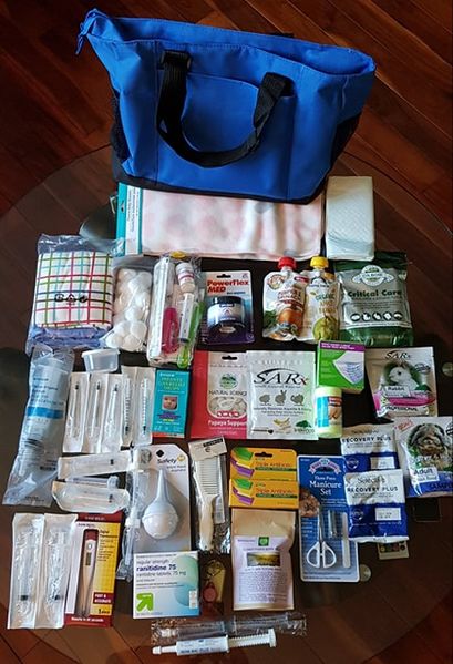 File:BunnyEmergency1stAidKits.jpg