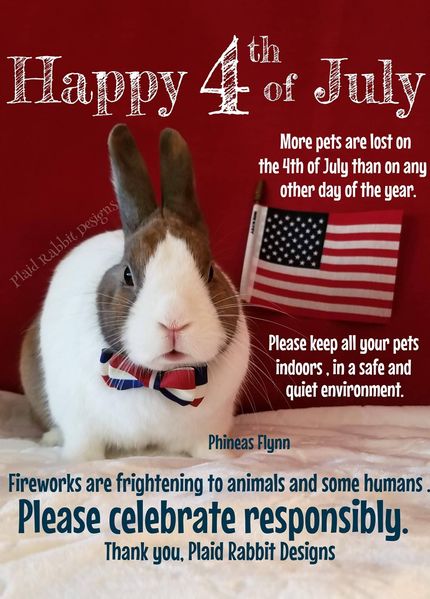 File:Happy4th-PlaidRabbitDesigns.jpg
