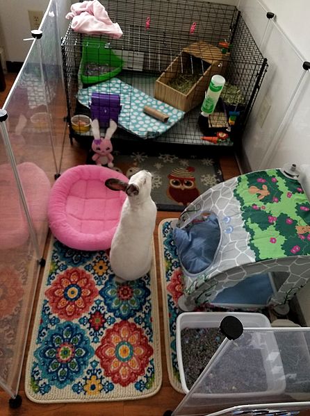 File:DelilahsNewHouse1.jpg