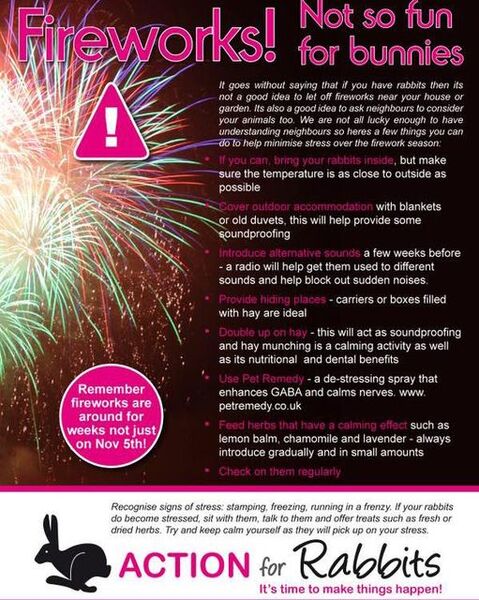 File:FireworksActionForRabbits.jpg