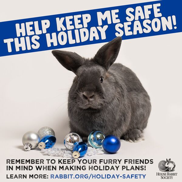 File:HRS-KeepMeSafeHoliday1.jpg