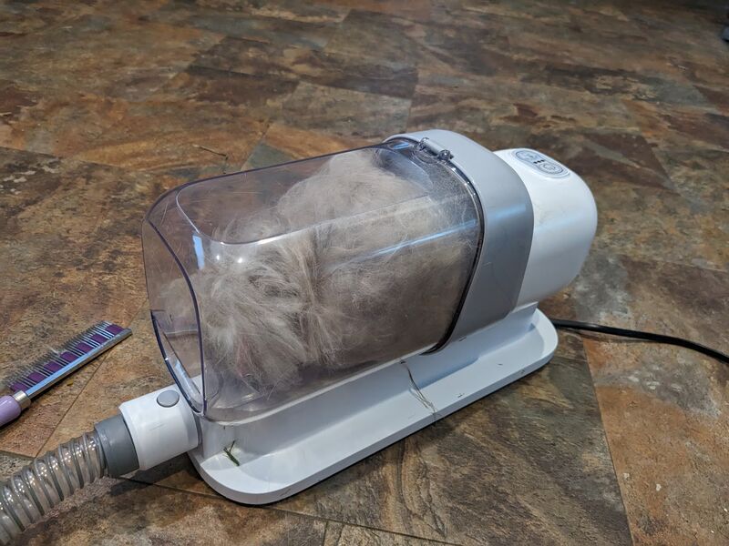 File:SneakyDragon-grooming-vacuum.jpg