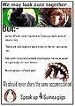 Thumbnail for version as of 19:58, 11 May 2017