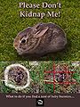Thumbnail for version as of 15:32, 16 March 2014