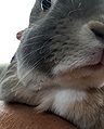 Thumbnail for version as of 00:26, 24 July 2017
