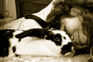 rabbit and gaurdian