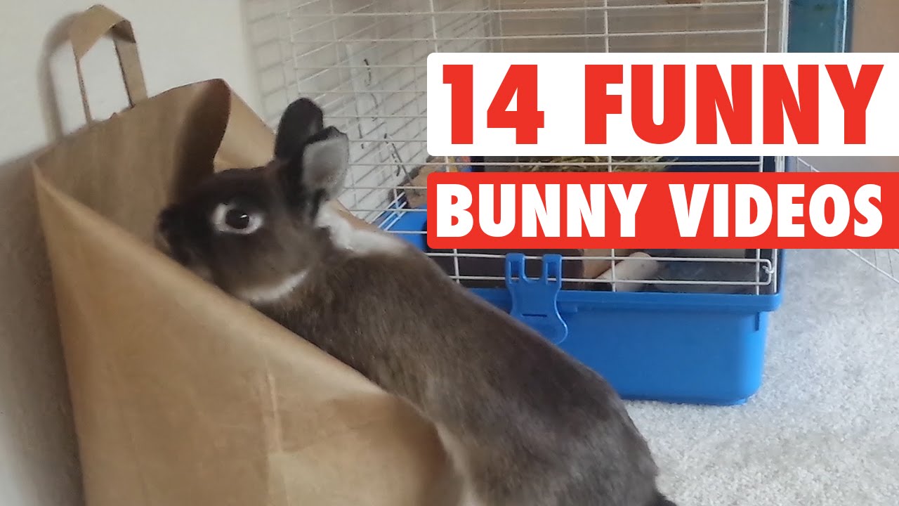 youtube-video-thumbnail