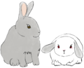 Thumbnail for version as of 01:40, 18 February 2024