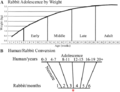 Thumbnail for version as of 16:22, 11 April 2024