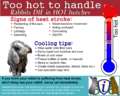 Thumbnail for version as of 16:56, 3 July 2015