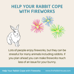 TRH-Fireworks1.png