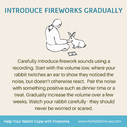 TRH-Fireworks5.png