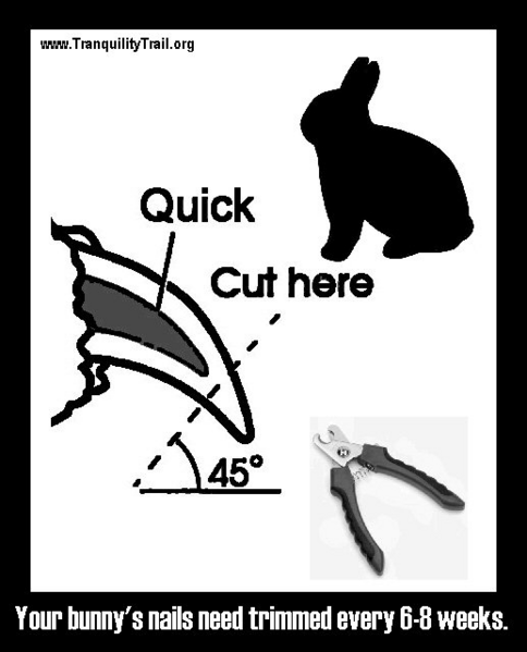 File:NailTrimTT.png