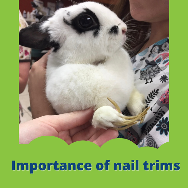 File:LongNails.png