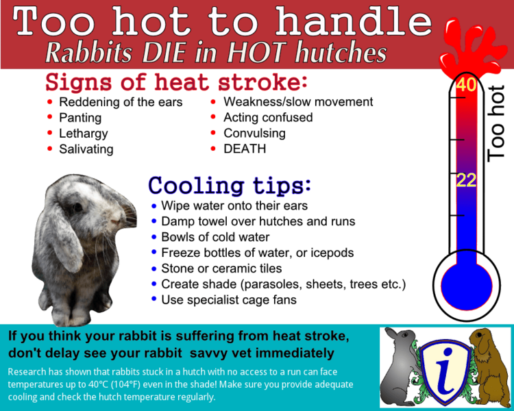 File:Too-hot-to-handle-large.png
