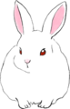Thumbnail for version as of 01:45, 18 February 2024