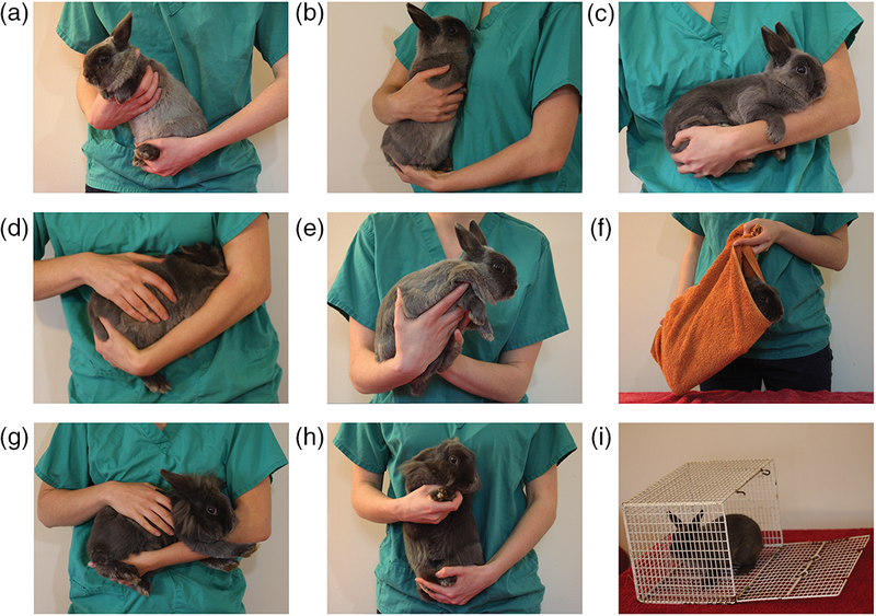 File:Jsap12549-fig-0001.png