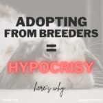 Hypocrisy